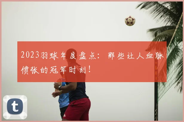 2023羽球年度盘点:那些让人血脉偾张的冠军时刻!