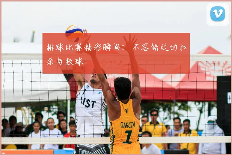 排球比赛精彩瞬间：不容错过的扣杀与救球
