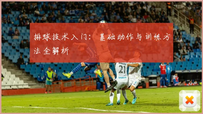 排球技术入门:基础动作与训练方法全解析