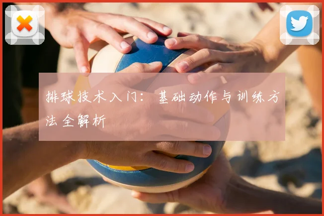 排球技术入门:基础动作与训练方法全解析