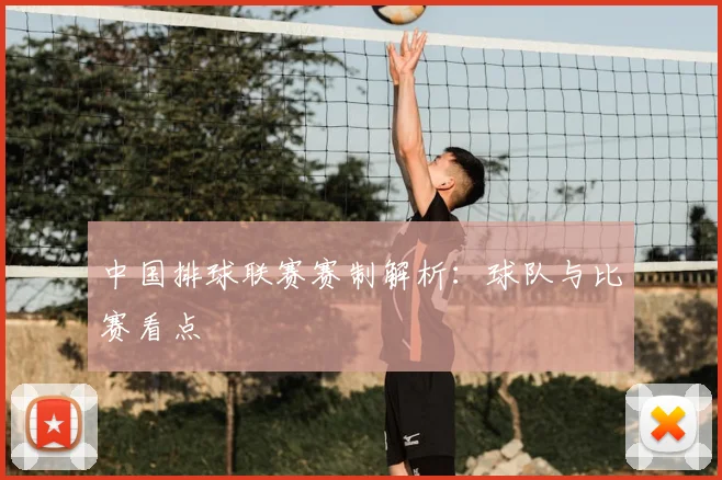 中国排球联赛赛制解析：球队与比赛看点